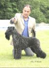 Ch / Sp Ch Torum's Lemracdream Rainbow George 